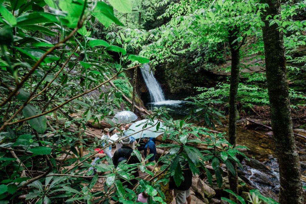 North Carolina adventure elopement locations near Lake Toxaway, Grey Stone Inn, and Brevard include the wild hollow around Courthouse Falls and many other hidden forest waterfall locations. A bride and a groom under a clear umbrella read their vows, surrounded by their family in s small circle with the waterfall and creek tumbling behind them, and the bright green trees and bush leaves hiding them in the scene.