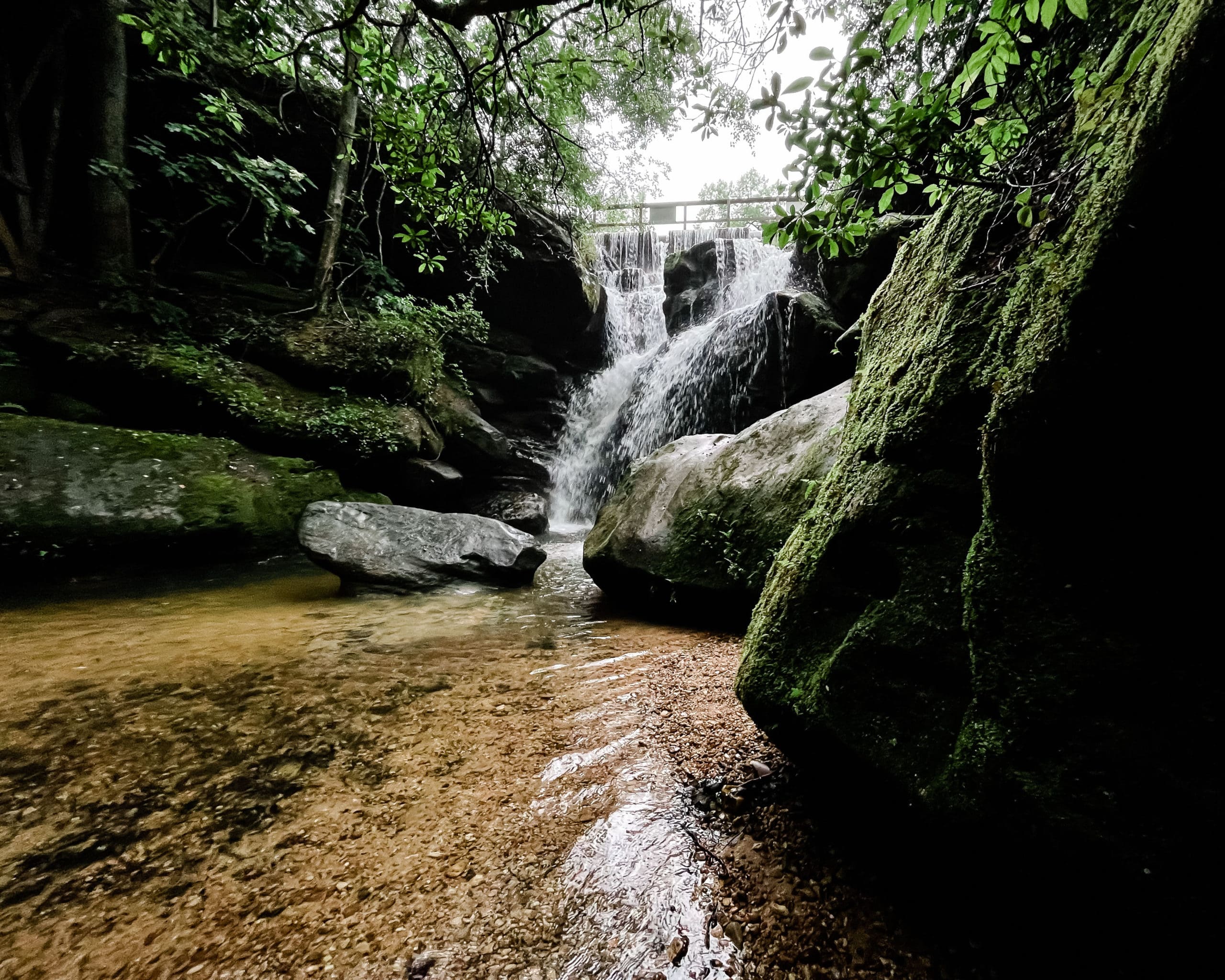 Looking for places to get married in Alabama? This picture is of an amazing waterfall in Alabama!