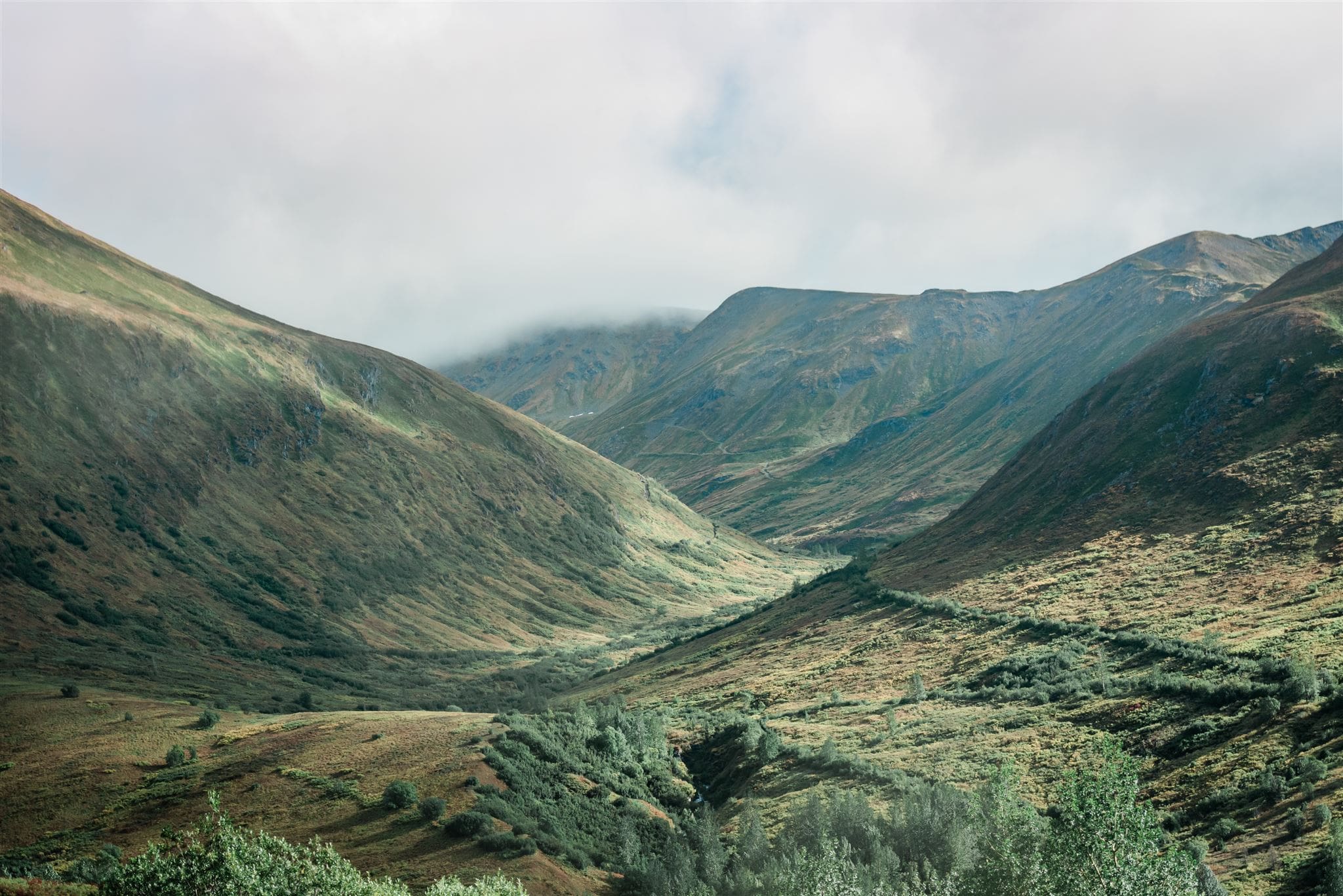 This is a picture of Alaska mountains. These mountains are green and brown.