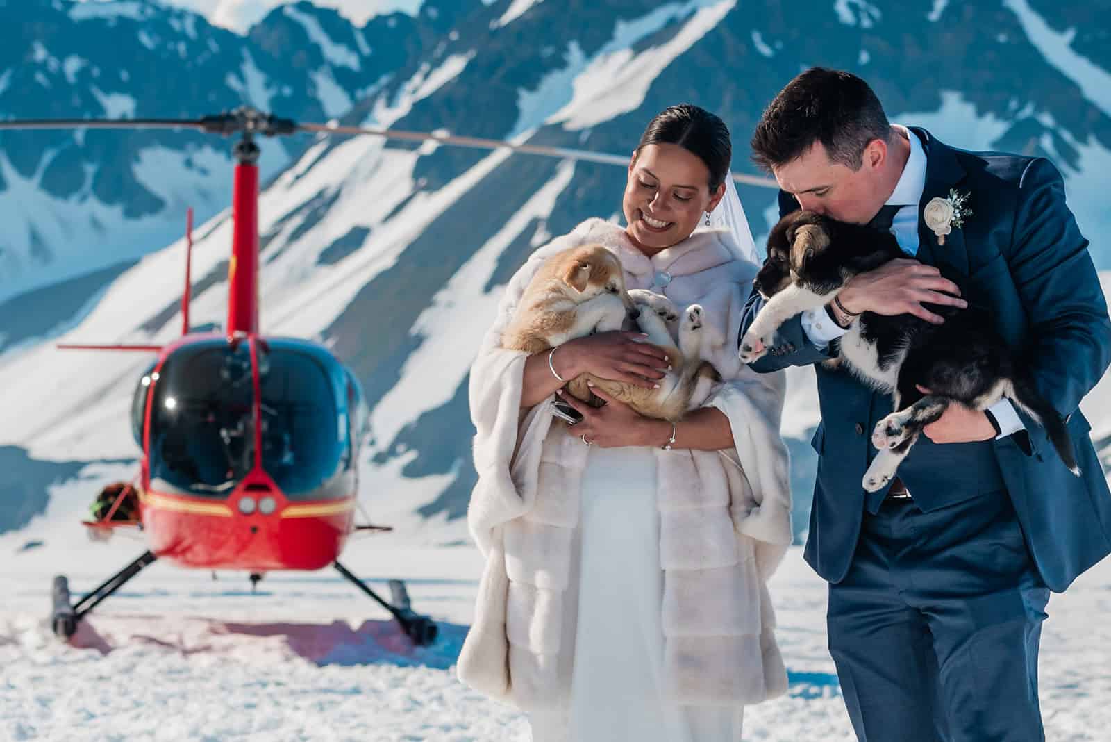 A bride and groom in formalwear each snuggle fluffy furred sled dog puppies with a bright red helicopter behind them, with a snowy mountain looming behind that. It is an epic scene inspiring how to elope to alaska