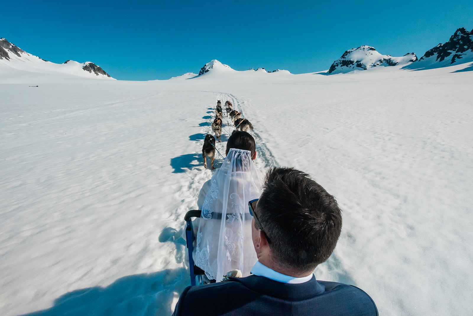 A bride and groom in their wedding formal wear sit on a dogsled ride with a line of dogs running, extended in front of them. The snowy glacier is viewed widely around them during their luxury elopement in Kenai Fjords area of Alaska.