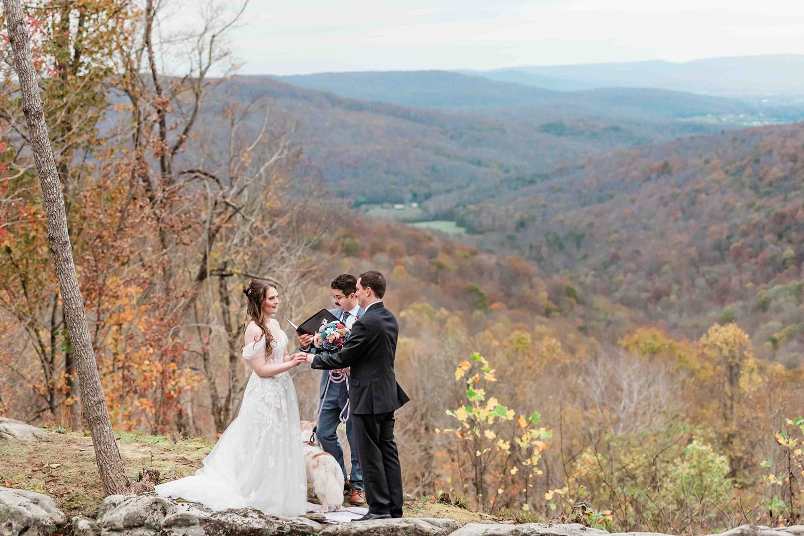 a bride and groom exchange rings during the small wedding in Tennessee, wearing their wedding finest. The officiant stands between them, their white dog looks towards their elopement photographer, and stretching out behind them is a sweeping valley view, filled with trees with leaves in gold and red fall colors.