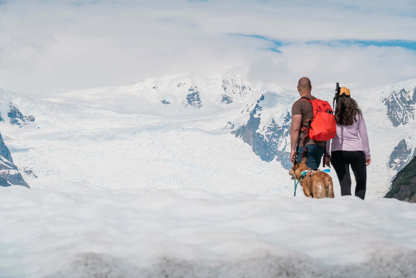 A couple in casual, hiking clothes are standing on the icy white Root Glacier looking at the dynamic mountain alaskan range surrounding the icefall with their dog. They are hiking the glacier without a guide as part of their glacier elopement experience in McCarthy.